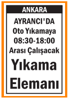 OTO YIKAMA ELEMANI AYRANCI