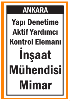 KONTROL ELEMANI İNŞAAT MÜHENDİSİ MİMAR