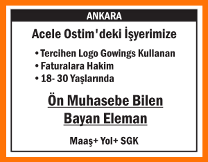 ÖN MUHASEBE BİLEN BAYAN ELEMAN