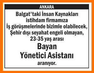 SEYAHAT ENGELİ OLMAYAN YÇNETİCİ ASİSTANI